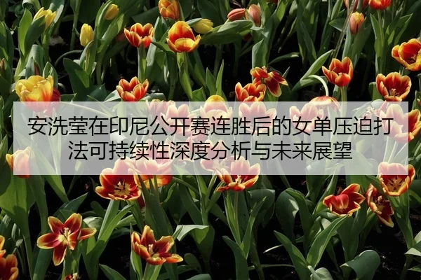 安洗莹在印尼公开赛连胜后的女单压迫打法可持续性深度分析与未来展望