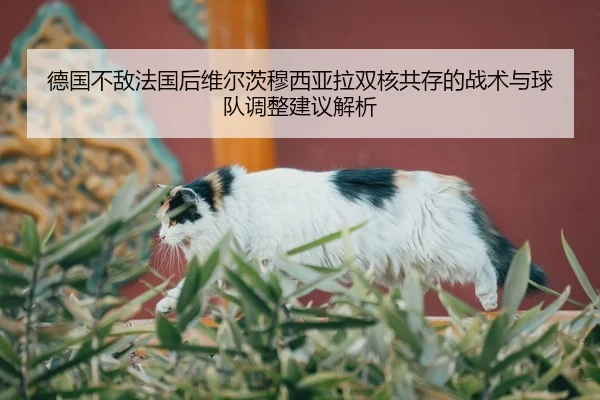 德国不敌法国后维尔茨穆西亚拉双核共存的战术与球队调整建议解析