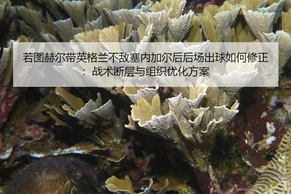 ruo-tu-he-er-dai-ying-ge-lan-bu-di-sai-nei-jia-er-hou-hou-chang-chu-qiu-ru-he-xiu-zheng-zhan-shu-duan-ceng-yu-zu-zhi-2-345.jpg